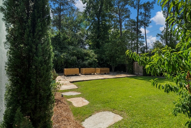 1580 Dixon Dr, Columbus, GA 31906 - view of yard featuring a patio area and an outdoor living space
