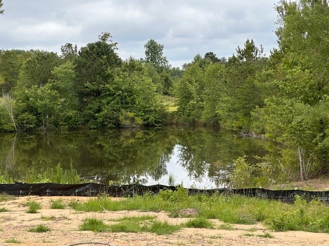 271 Lee Road 0169, Opelika, AL 36804 - water view with a forest