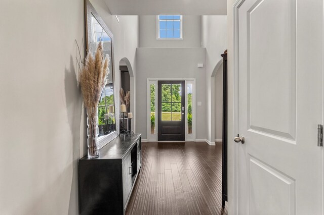 221 Abberly Ln, Ellerslie, GA 31807 - foyer featuring healthy amount of natural light, dark wood-style flooring, arched walkways, and a towering ceiling