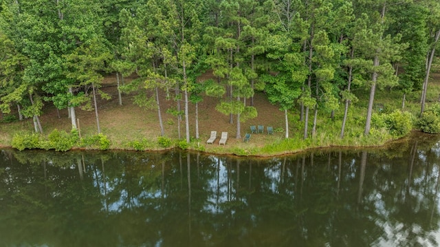 221 Abberly Ln, Ellerslie, GA 31807 - drone / aerial view