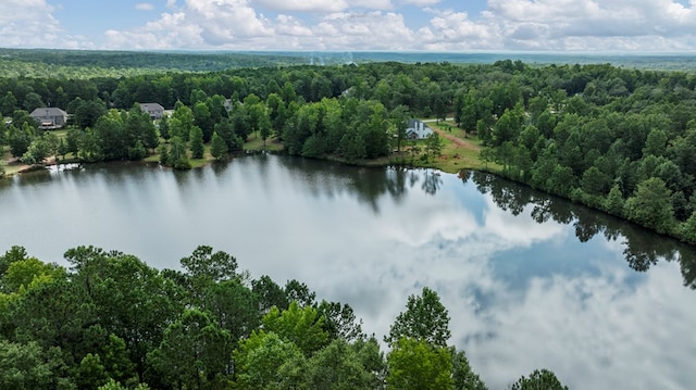 221 Abberly Ln, Ellerslie, GA 31807 - drone / aerial view of a heavily wooded area and a large body of water