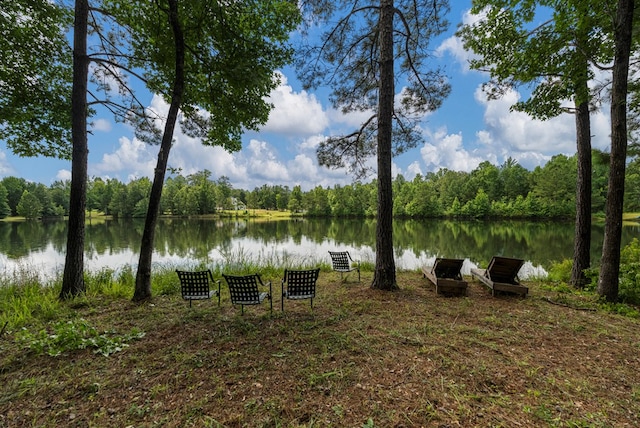 221 Abberly Ln, Ellerslie, GA 31807 - water view with a heavily wooded area