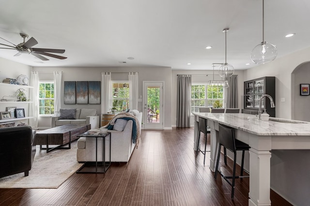 221 Abberly Ln, Ellerslie, GA 31807 - living room featuring healthy amount of natural light, dark wood-style floors, recessed lighting, and a ceiling fan