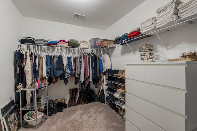 221 Abberly Ln, Ellerslie, GA 31807 - walk in closet with carpet flooring