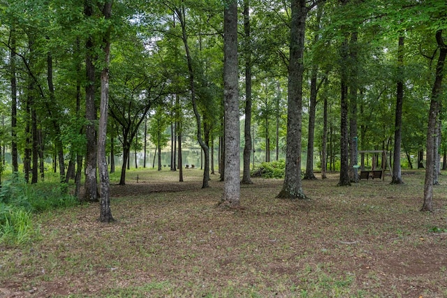 221 Abberly Ln, Ellerslie, GA 31807 - view of nature