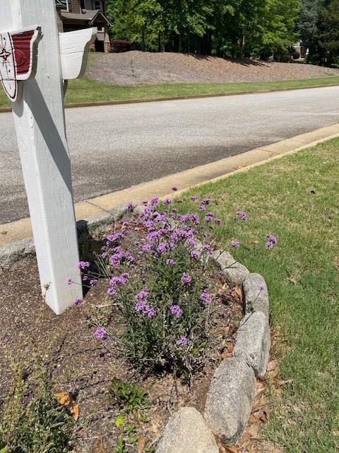 8848 Westwind Dr, Midland, GA 31820 - photo 39