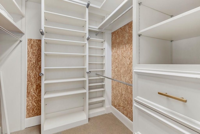 spacious closet featuring carpet flooring