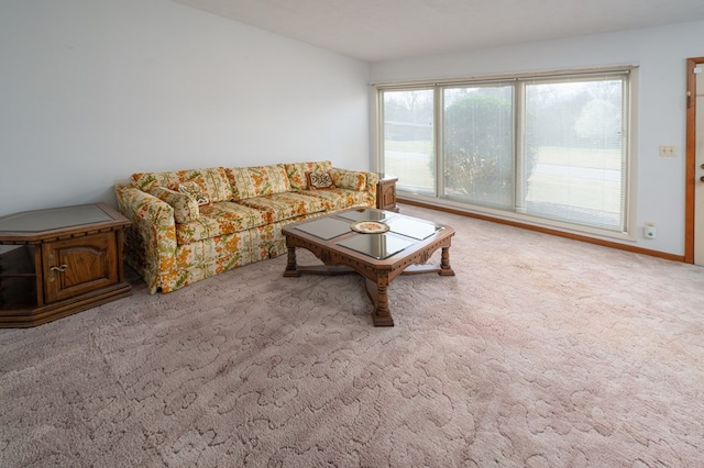 living area with carpet floors and baseboards