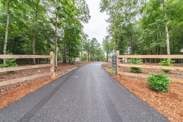 11602 Ga Highway 0085, Waverly Hall, GA 31831 - view of street