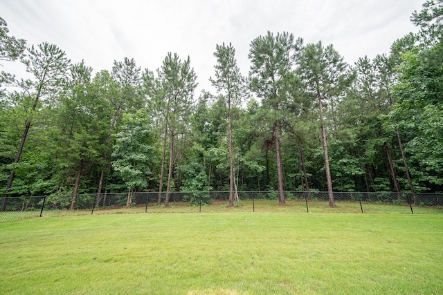 11602 Ga Highway 0085, Waverly Hall, GA 31831 - view of yard with a view of trees