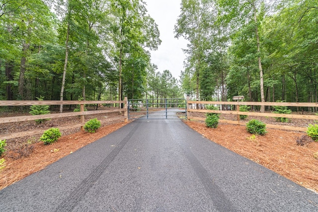 11602 Ga Highway 0085, Waverly Hall, GA 31831 - view of asphalt road with a gate
