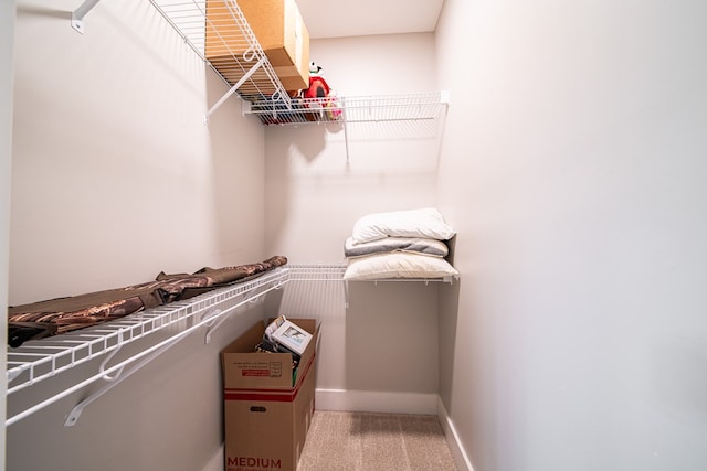 11602 Ga Highway 0085, Waverly Hall, GA 31831 - spacious closet with carpet flooring