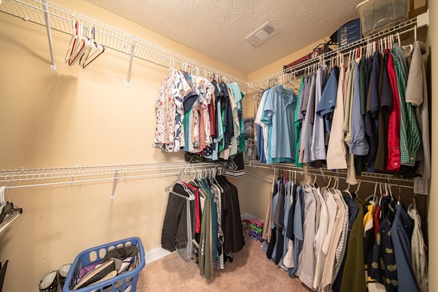 37 Oakwood Dr, Phenix City, AL 36870 - spacious closet featuring carpet