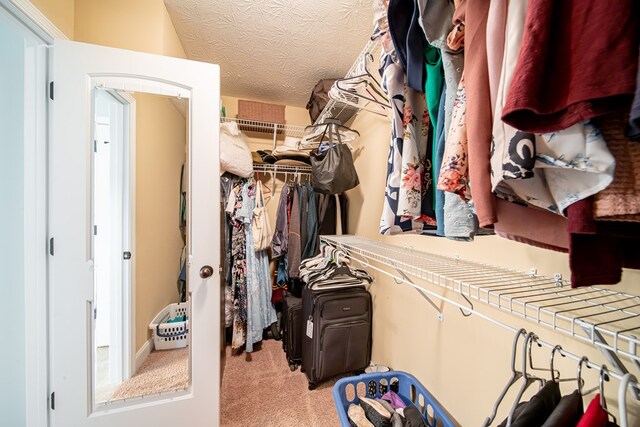 37 Oakwood Dr, Phenix City, AL 36870 - walk in closet featuring light carpet