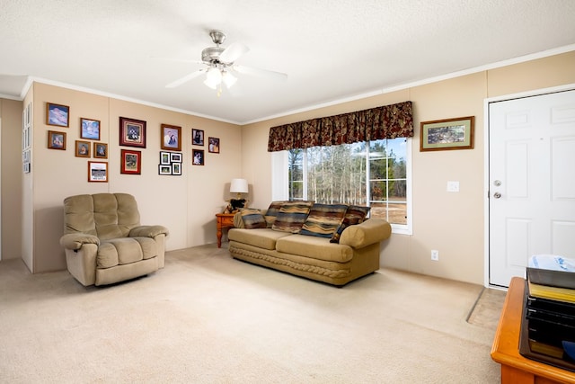 living room with ceiling fan, crown molding, and carpet flooring