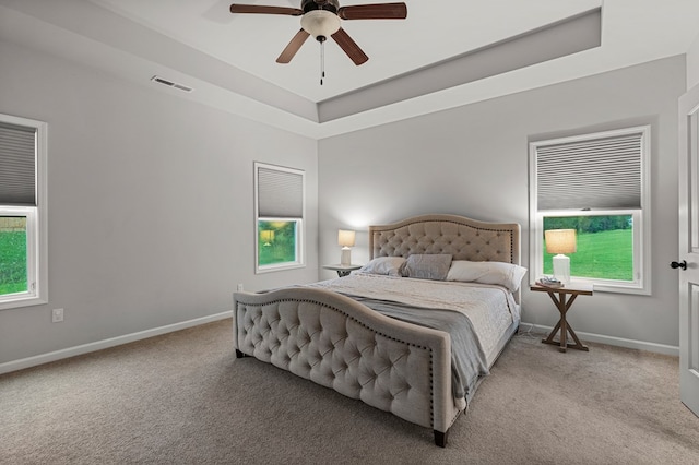 7546 Mockernut Way, Midland, GA 31820 - bedroom featuring multiple windows, carpet, and a tray ceiling