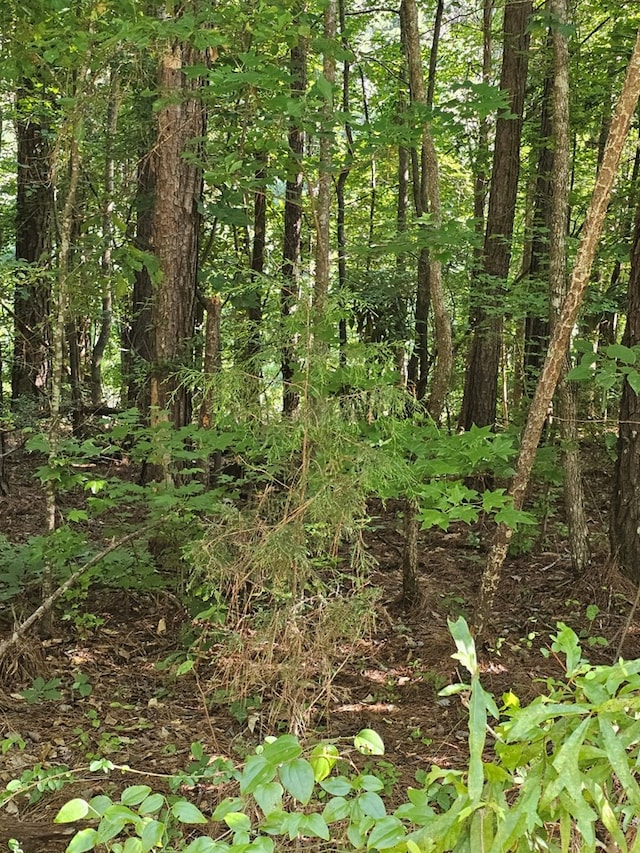LOT21F Lakeshore Dr, Waverly Hall, GA 31831
