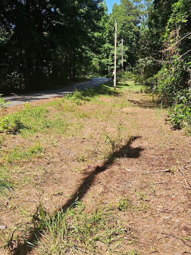 LOT21F Lakeshore Dr, Waverly Hall, GA 31831