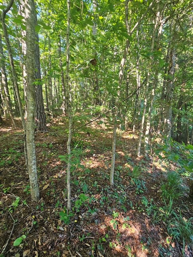 LOT21F Lakeshore Dr, Waverly Hall, GA 31831