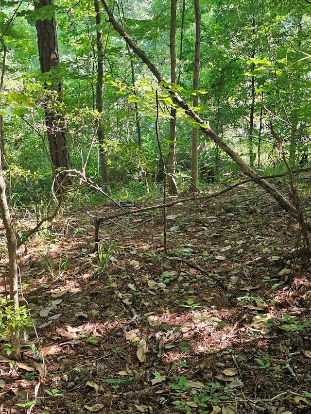 LOT21F Lakeshore Dr, Waverly Hall, GA 31831