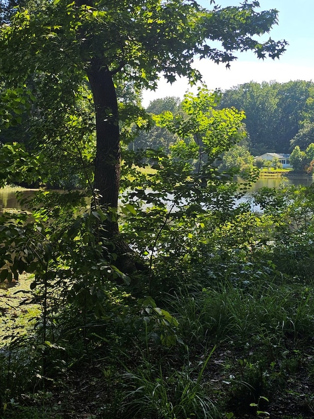 LOT21F Lakeshore Dr, Waverly Hall, GA 31831