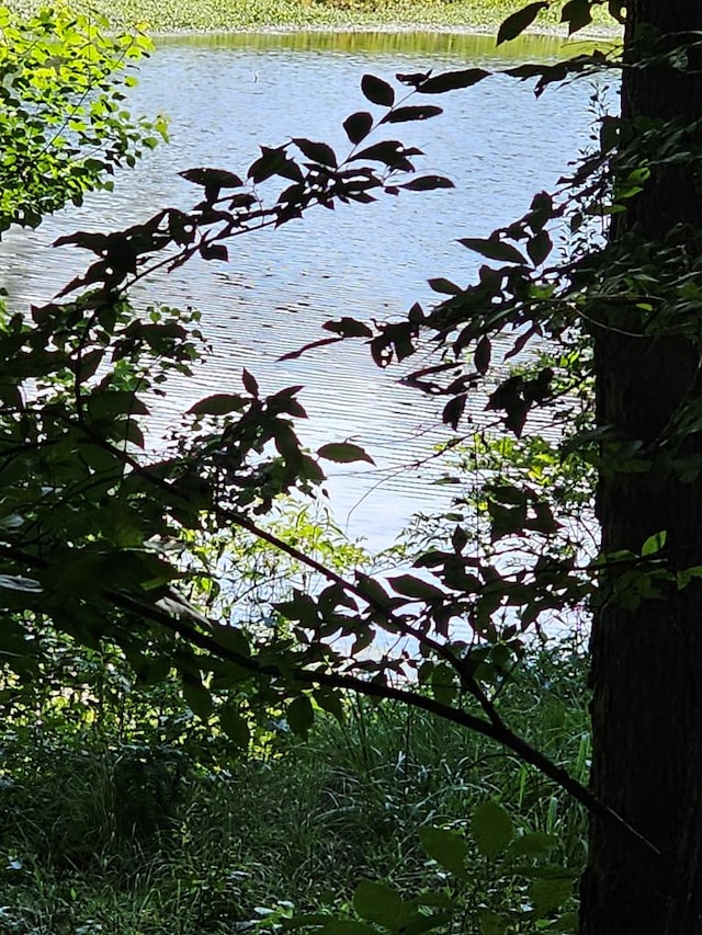 LOT21F Lakeshore Dr, Waverly Hall, GA 31831