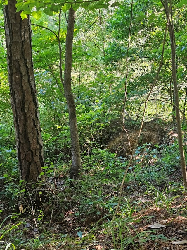 LOT21F Lakeshore Dr, Waverly Hall, GA 31831