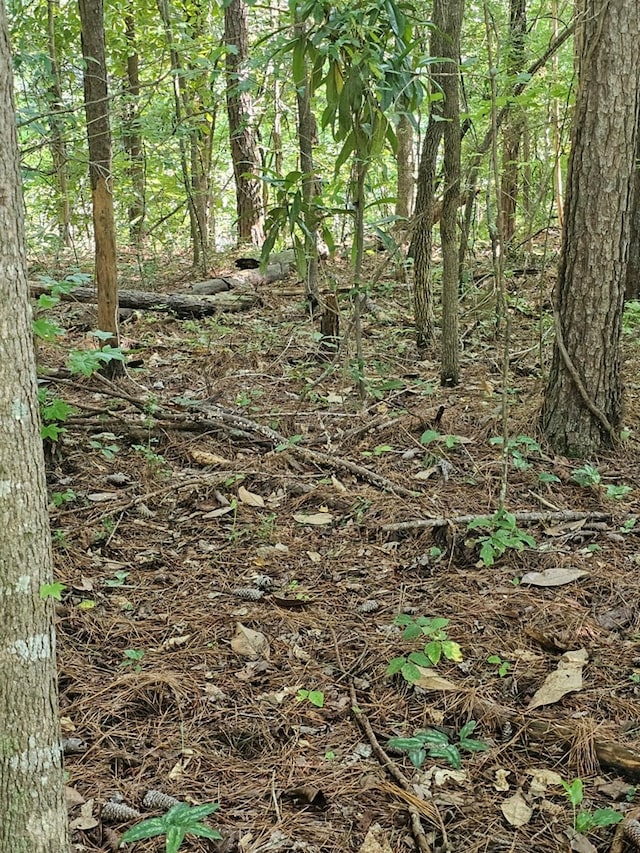 LOT21F Lakeshore Dr, Waverly Hall, GA 31831