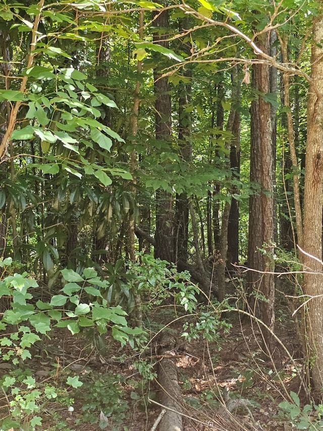 LOT21F Lakeshore Dr, Waverly Hall, GA 31831