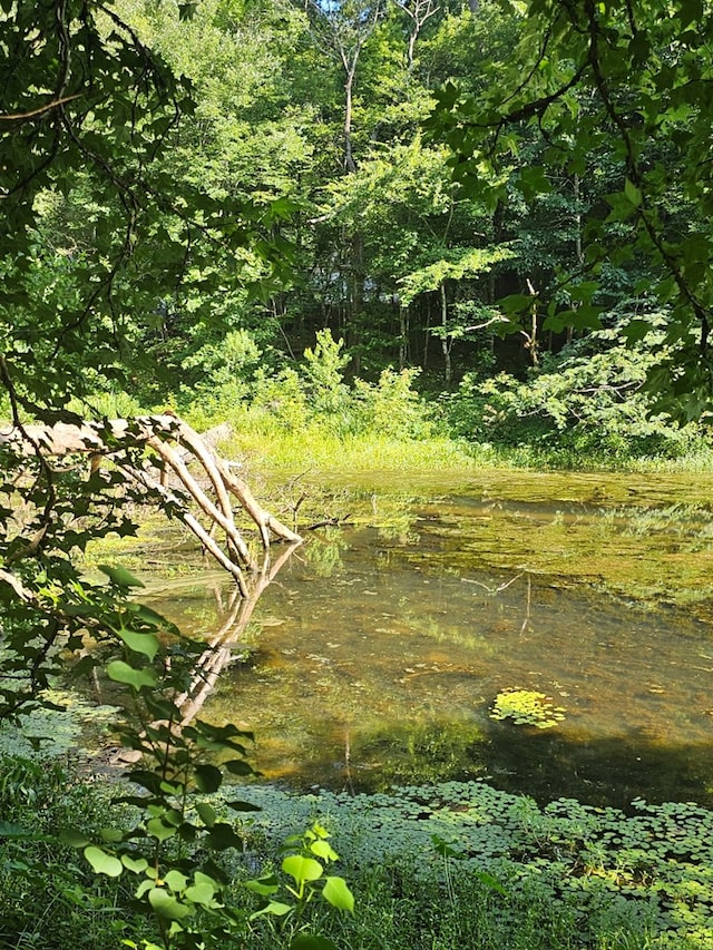 LOT21F Lakeshore Dr, Waverly Hall, GA 31831