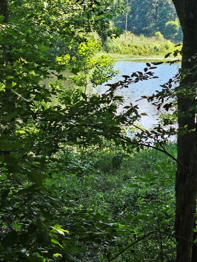 LOT21F Lakeshore Dr, Waverly Hall, GA 31831