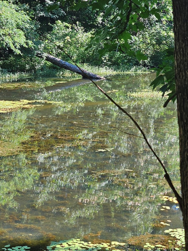 LOT21F Lakeshore Dr, Waverly Hall, GA 31831