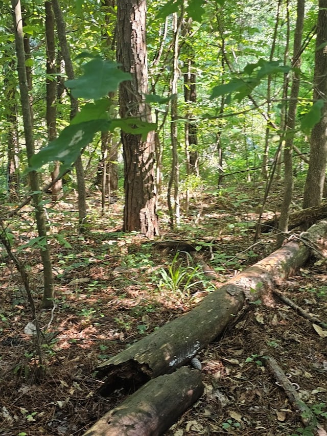 LOT21F Lakeshore Dr, Waverly Hall, GA 31831