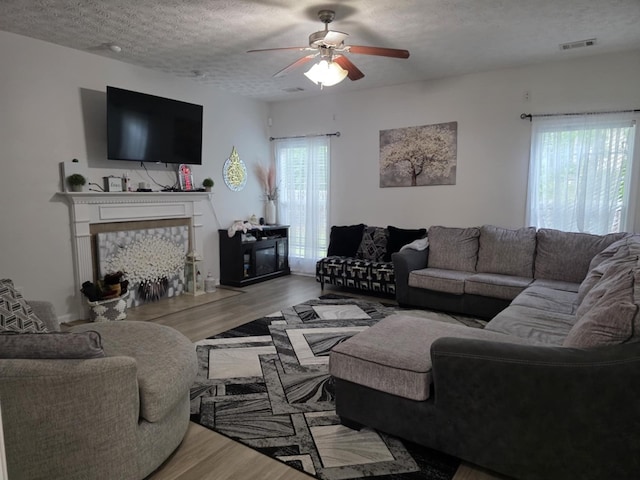 10315 Whisper Glen Ct, Midland, GA 31820 - living area featuring wood finished floors, ceiling fan, a textured ceiling, and a premium fireplace