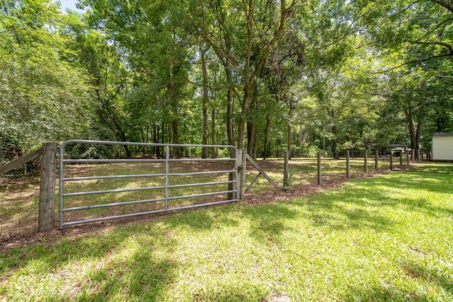 177 Wright Rd, Pine Mountain, GA 31822 - view of yard with a gate