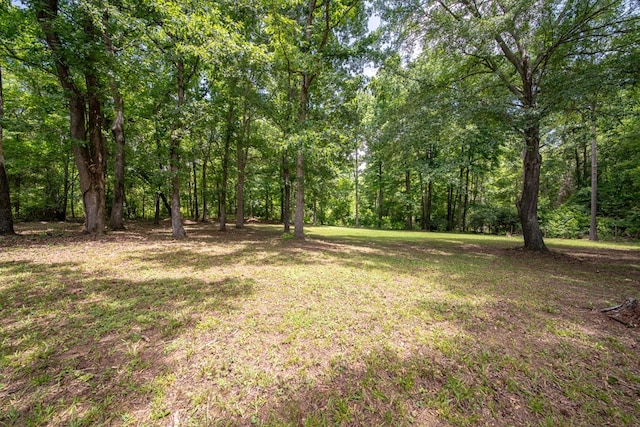 177 Wright Rd, Pine Mountain, GA 31822 - view of green lawn featuring a view of trees