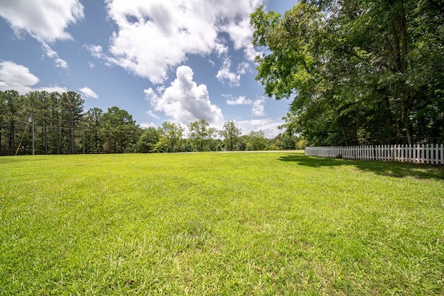 177 Wright Rd, Pine Mountain, GA 31822 - view of yard
