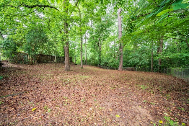6127 Stony Creek Dr, Columbus, GA 31909 - view of fenced backyard