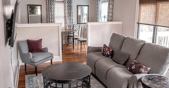 living area featuring wood finished floors and a wealth of natural light