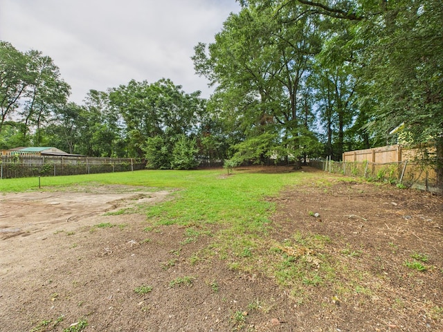 5534 Orchard Dr, Columbus, GA 31904 - photo 10