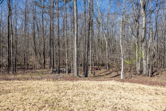 view of nature featuring a forest view