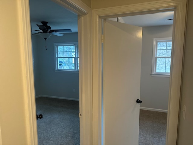 corridor with carpet floors