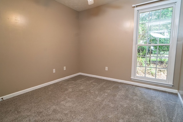 4017 Hardwood Way, Midland, GA 31820 - photo 23