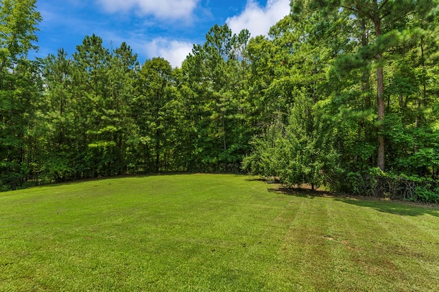 142 Richardson Ct, Fortson, GA 31808 - photo 39