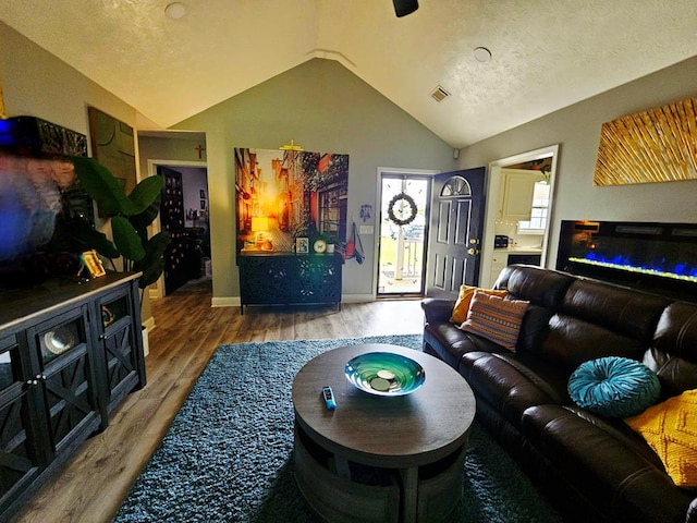 7 Hillside Ct, Phenix City, AL 36870 - living room with vaulted ceiling, wood finished floors, and a glass covered fireplace
