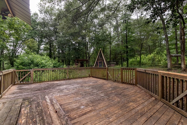 117 Buttercup Ln, Buena Vista, GA 31803 - photo 31