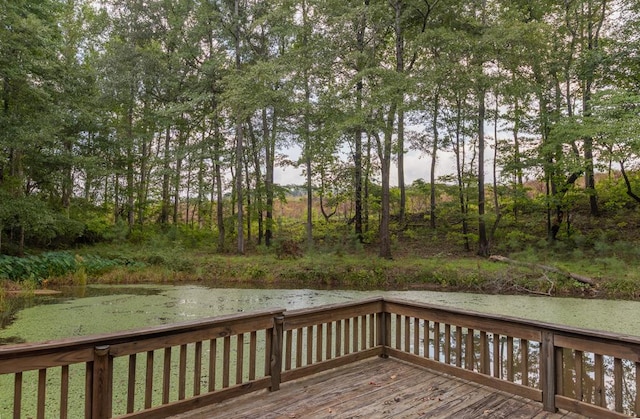 117 Buttercup Ln, Buena Vista, GA 31803 - photo 28