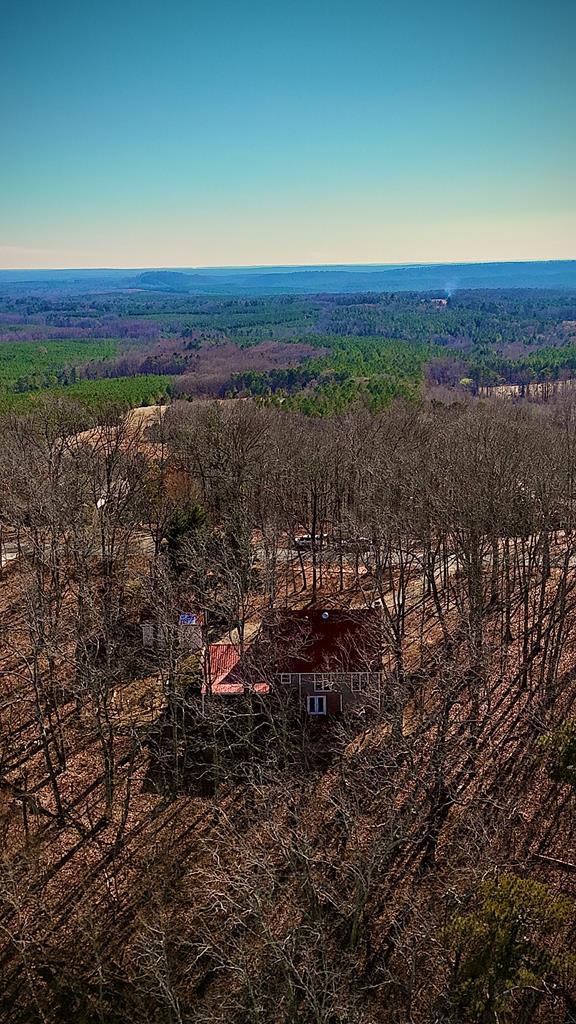 drone / aerial view featuring a rural view