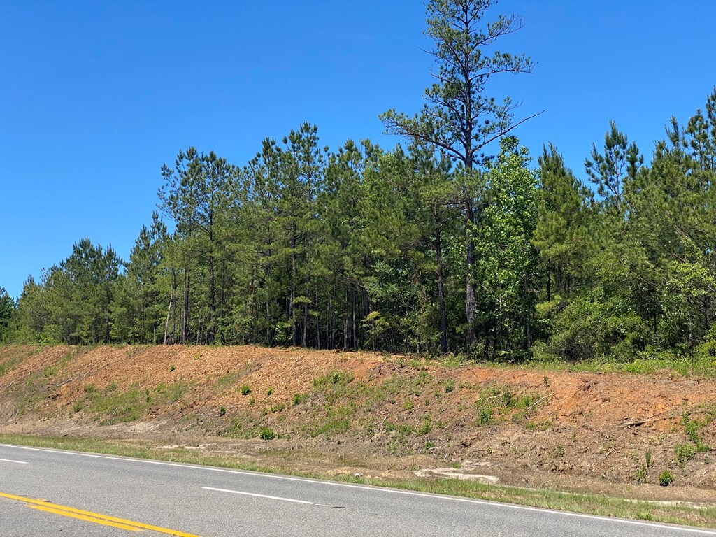 0 Ga Highway 0026, Buena Vista, GA 31803