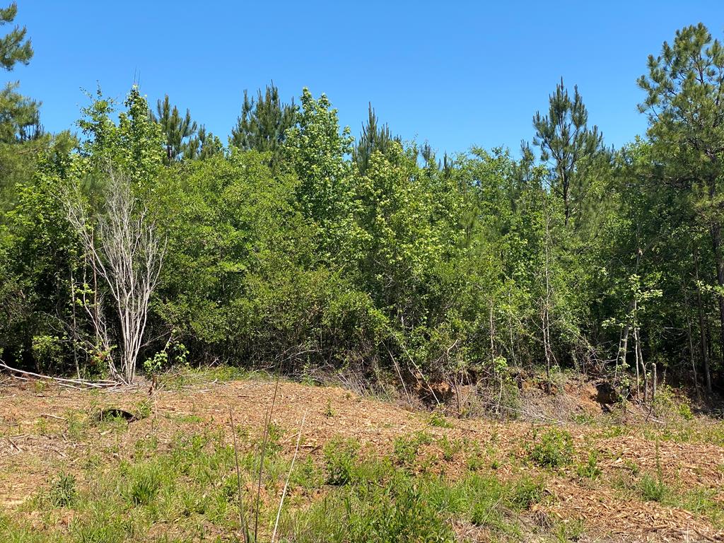 0 Ga Highway 0026, Buena Vista, GA 31803